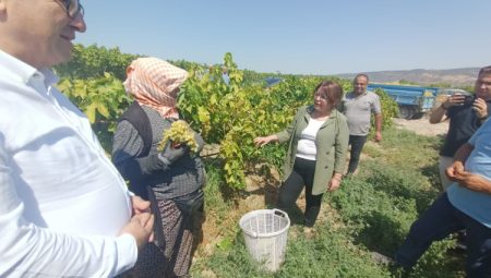 CHP’li Karaca üzüm üreticilerine ses oldu