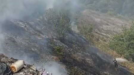 Düzce Yığılca’da fındık bahçesinde yangın… 6 hektar zarar gördü