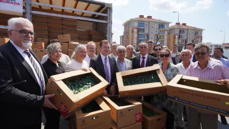 İstanbul’dan çiftçilere 5 yılda 70 milyon fide desteği