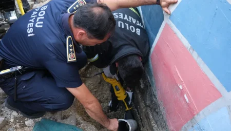 İtfaiyeden kedi kurtarma operasyonu – İGF HABER