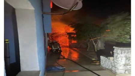 İzmir İtfaiyesi Dikili’deki yangına müdahale ediyor