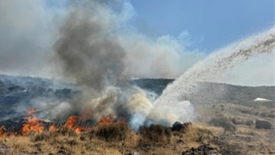 İzmir İtfaiyesi kentsel ve kırsal yangınlarla mücadele ediyor