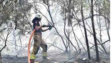 İzmir İtfaiyesi Menderes’te alevlerle mücadele ediyor