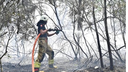 İzmir İtfaiyesi Menderes’te alevlerle mücadele ediyor