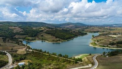 Kandıra topraklarının verimi Büyükşehir desteği ile arttı