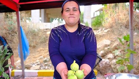 Menemen’de Bozalan İncir Festivali heyecanı yaşanacak