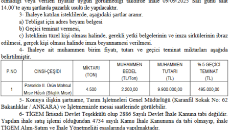 TİGEM’den 4 bin 500 ton silajlık mısır ihalesi