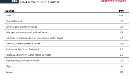 Merkez Bankası’ndan reel sektörün döviz talebi analizi