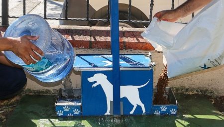 Yazın Sıcak Günlerinde Küçükçekmece Belediyesi’nden Sokak Hayvanlarına Can Suyu Çağrısı