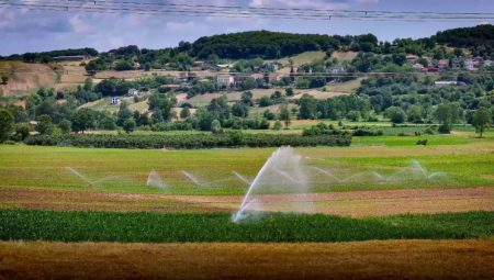 Kocaeli’de tarımsal verim arttı… Kandıra yeşil vadiye dönüştü