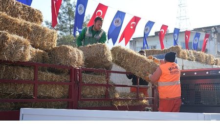 Milas Belediyesi Üreticilere Yönelik Desteklerini Sürdürüyor