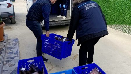 Yasadışı kalkan avcılığına müdahale! 169 balık Darülaceze'ye teslim edildi